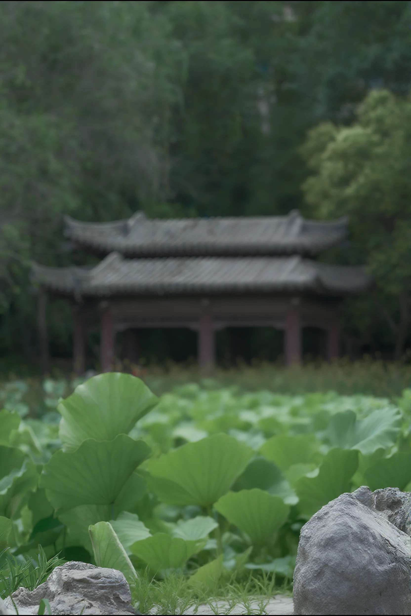 背景提取 修图后